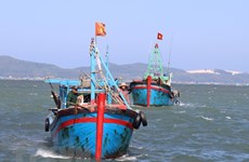 Provincia vietnamita apunta a cumplir medidas contra pesca ilegal