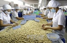Vietnam prioriza proteger derechos e intereses legítimos de empresas nacionales 