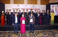 Vietnam e India buscan despertar potencial de cooperación en comercio e inversión