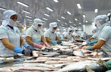 Aumentan exportaciones de pescado Tra vietnamita a Europa