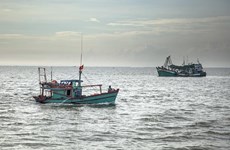 Vietnam gestiona barcos pesqueros por satélite en esfuerzos contra la pesca ilegal