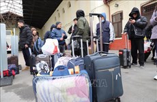 Embajada vietnamita asiste a vietnamitas evacuados de Ucrania a Alemania 