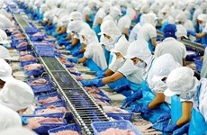 Exportaciones de pescado Tra vietnamita a UE se recuperan