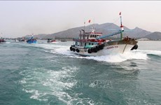 Provincia vietnamita de Ninh Thuan impulsa combate contra pesca ilegal