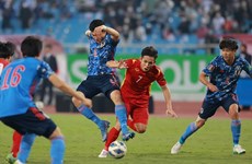 Agotadas entradas para partido de fútbol Vietnam- Japón en eliminatorias mundialistas