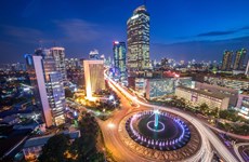 Emiratos Árabes Unidos ratifica inversión en nueva capital de Indonesia