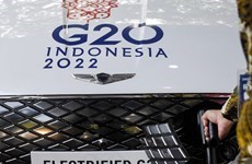 Indonesia propone estandarizar las reglas de viaje de G20