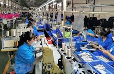 Vietnam promulga política de apoyo al alquiler de viviendas para trabajadores