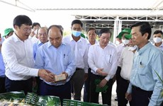 Presidente realiza visita de trabajo a la provincia deltaica de Dong Thap