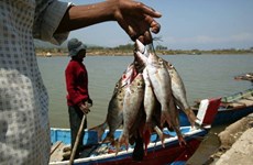 Indonesia impulsará la pesca hacia la sostenibilidad
