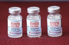 Niños menores de 12 años de Vietnam recibirán vacuna de Moderna contra el COVID-19