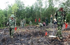 PNUD y KOICA se comprometen a continuar ayudando a Vietnam en el desminado