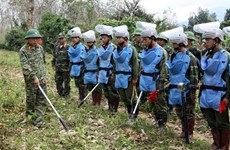 Vietnam comparte en la ONU experiencias para superar secuelas de bombas 