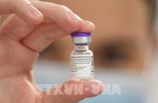 Ciudad Ho Chi Minh vacunará a niños de cinco a 12 años contra COVID-19 desde septiembre