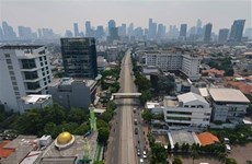 Buscan convertir el indonesio en idioma oficial de ASEAN