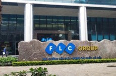 Emprenden en Vietnam proceso legal contra sujeto involucrado en caso del grupo FLC