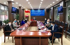 Provincias fronterizas vietnamitas fomentan cooperación agrícola con localidad china 