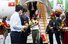 Vietnam posee ventajas para atraer turistas surcoreanos en etapa pos-COVID-19