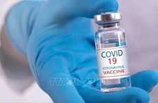 Debaten progreso de tres vacunas vietnamitas contra el COVID-19