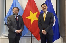 Vietnam reafirma apoyo a Convención sobre la prohibición de minas antipersonales