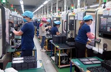 Trabajan por perfeccionar políticas y leyes sobre negocios responsables en Vietnam