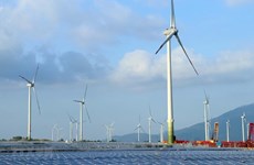 Dos centrales eólicas puestas en funcionamiento en provincia vietnamita