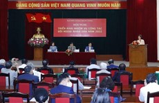 Debaten orientaciones para diplomacia popular de Vietnam en 2022