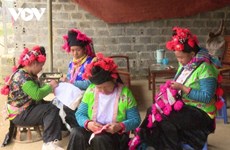 Trajes únicos y sofisticados de las mujeres del grupo étnico Mong Blanco