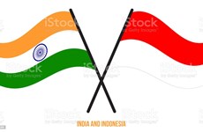 India e Indonesia realizan séptima consulta diplomática 