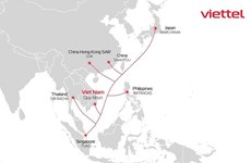 Viettel pondrá en operación nuevo cable submarino de fibra óptica en 2023