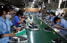Vietnam por continuar restaurando producción, negocios y exportaciones