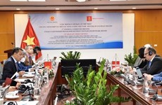 Impulsan asociación energética entre Vietnam y Dinamarca en período 2020-2025