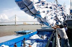 Exportaciones de arroz de Vietnam aumentaron 24 por ciento en primer trimestre de 2022 