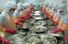 Vietnam promueve exportaciones pesqueras a la Unión Europea