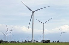 Vietnam se esfuerza por aumentar estructura de energías renovables 