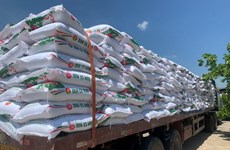 Ganancias de PetroVietnam Camau Fertilizer aumentan 10 veces en el primer trimestre