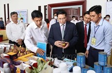 Primer ministro de Vietnam pide construir entorno de inversión transparente y equitativo
