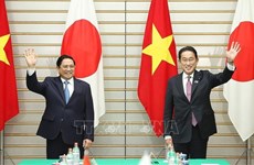 Japón y Vietnam disponen de gran potencial para cooperación 