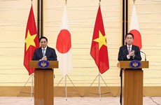 Gobierno japonés otorga gran importancia a nexos con Vietnam