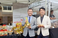 Buscan promover chicozapote congelado vietnamita a Australia