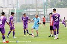 Publican lista oficial de selección de fútbol sub-23 de Vietnam para SEA Games 31