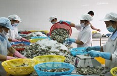 Incrementan exportaciones de productos agroforestales y acuáticos vietnamitas