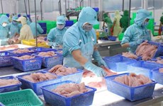 Exportaciones de productos acuícolas vietnamitas aumentan casi 44 por ciento 