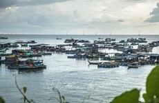Vietnam por promover desarrollo sostenible de economía marina