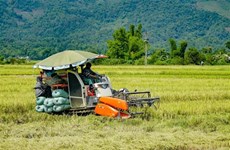  Coloquio en Washington busca estrechar lazos entre empresas agrícolas de Vietnam y EE.UU.