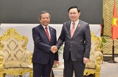 Diplomacia entre pueblos juega importante papel en relaciones Vietnam-Laos
