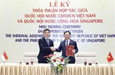 Presidente de la Asamblea Nacional de Singapur aboga por consolidar lazos con Parlamento de Vietnam