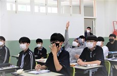 Enseñan idioma vietnamita en modelo de orientación profesional en Corea del Sur