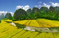 Inauguran Semana de turismo de Ninh Binh en Tam Coc-Bich Dong