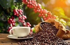 Revista internacional clasifica al café vietnamita en el top de los mejores cafés del mundo